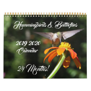 Hummingbirds & Butterflies 2019 Calendrier 2020