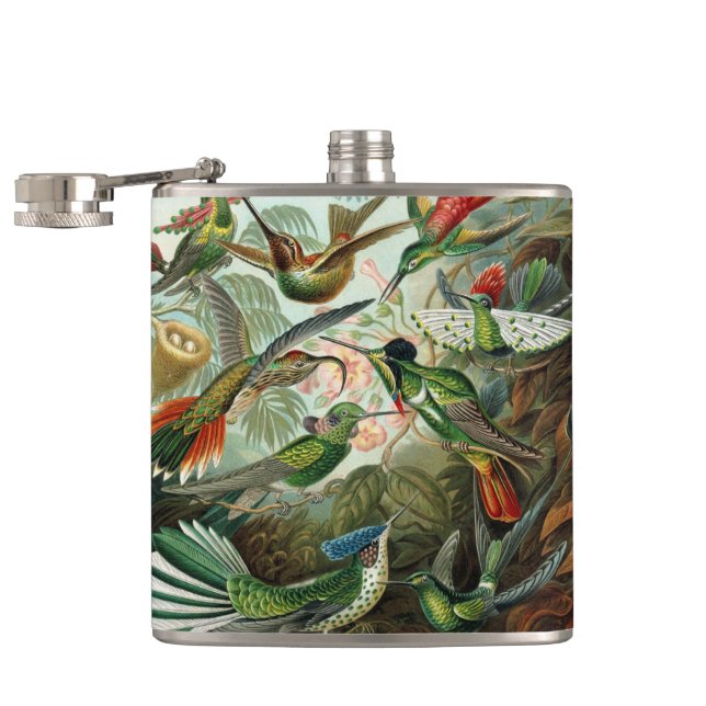 Hummingbirds by Ernst Haeckel, Vintage Vogelbäume Flachmann (Geöffnet)