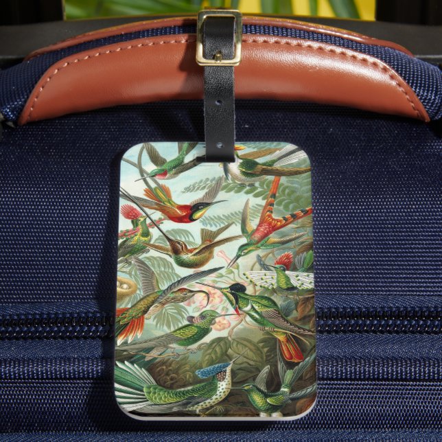 Hummingbirds by Ernst Haeckel, Vintage Vogelbäume Gepäckanhänger (Vorderseite Insitu 2)
