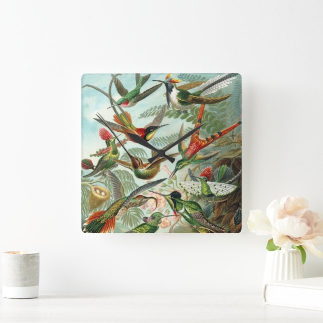 Hummingbirds by Ernst Haeckel, Vintage Vogelbäume Quadratische Wanduhr (Zuhause)