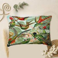 Hummingbirds by Haeckel Trochilidae