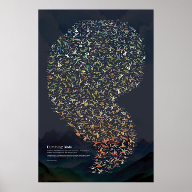 Hummingbirds - Dunkel Poster (Vorne)