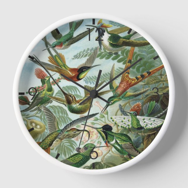 Hummingbirds - Ernst Haeckel Uhr (Vorderseite)