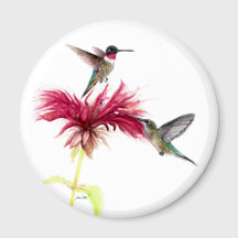 Hummingbirds Floral Watercolor