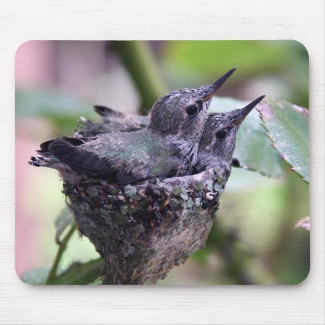 Hummingbirds Fotomousepad Mousepad (Vorne)