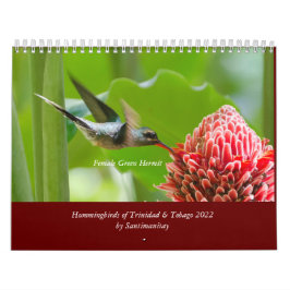 Hummingbirds of Trinidad & Tobago 2022 Calendar Kalender