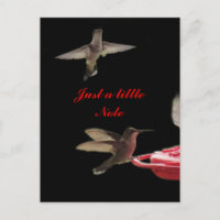 Hummingbirds Postcard #ct98721- anpassen