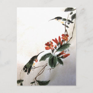 Hummingbirds Postkarte