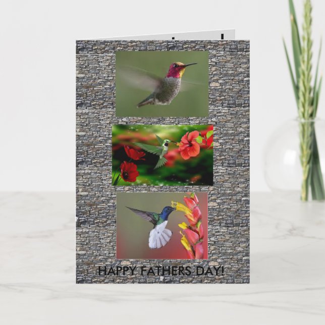 Hummingbirds-Tageskarte Karte (Vorderseite)