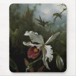 Hummingbirds und White Orchid von Martin J. Heade Mousepad