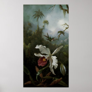 Hummingbirds und White Orchid von Martin J. Heade Poster
