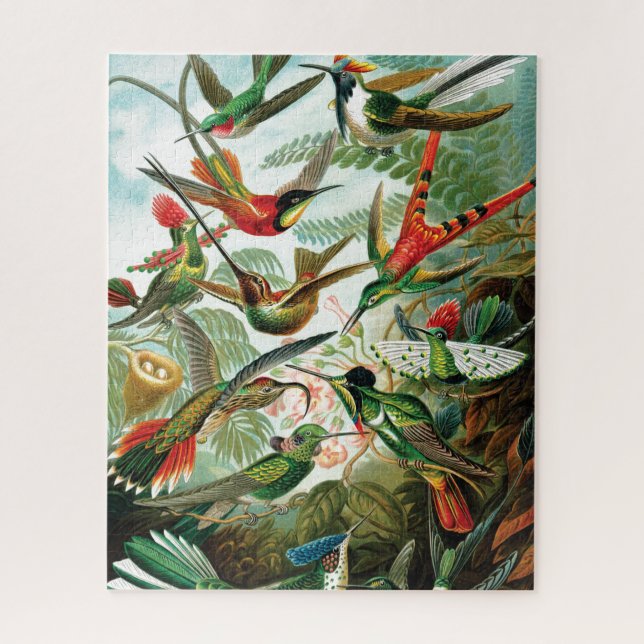 Hummingbirds von Ernst Haeckel (Vertikal)