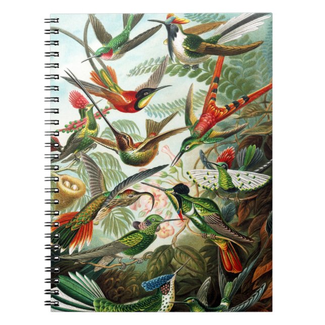 Hummingbirds von Ernst Haeckel Notizblock (Vorderseite)