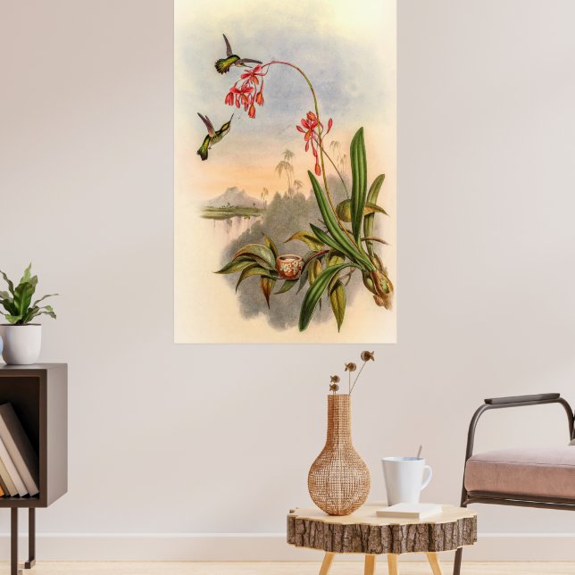 Hummingbirds von John Gould Poster (Wohnzimmer 3)