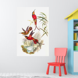 Hummingbirds von John Gould Poster