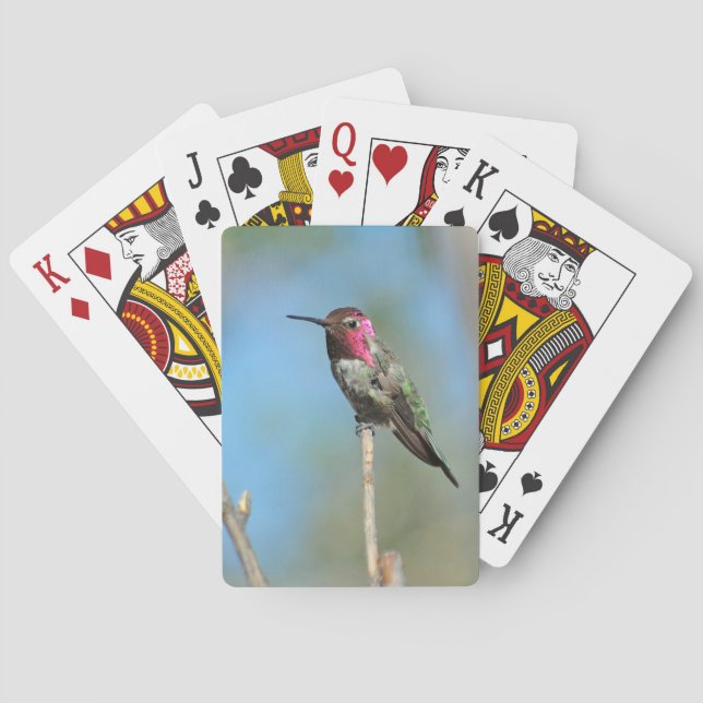 Hummingbnird-Karten Spielkarten (Rückseite)
