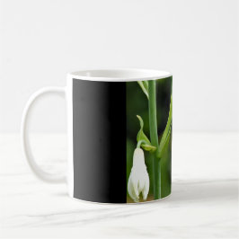 Hummingo Kaffeetasse