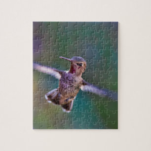 Hummingvogel