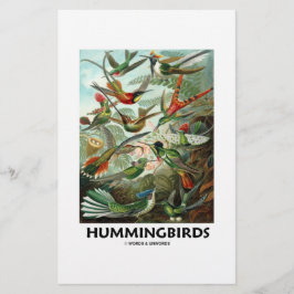 Hummingvögel