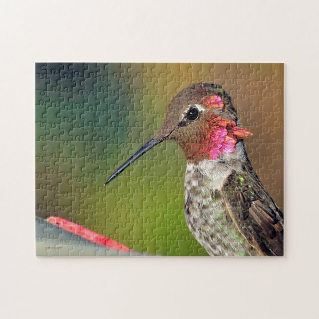 Hummingvogel (Horizontal)