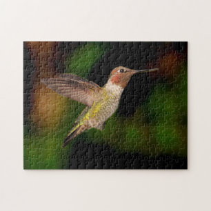 Hummingvogel