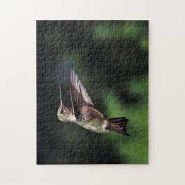 Hummingvogel