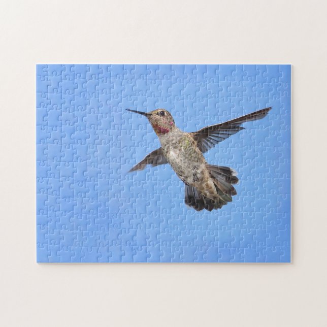 Hummingvogel (Horizontal)