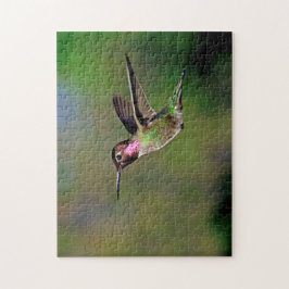Hummingvogel