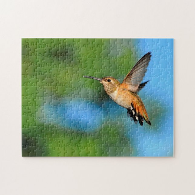 Hummingvogel (Horizontal)