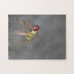 Hummingvogel