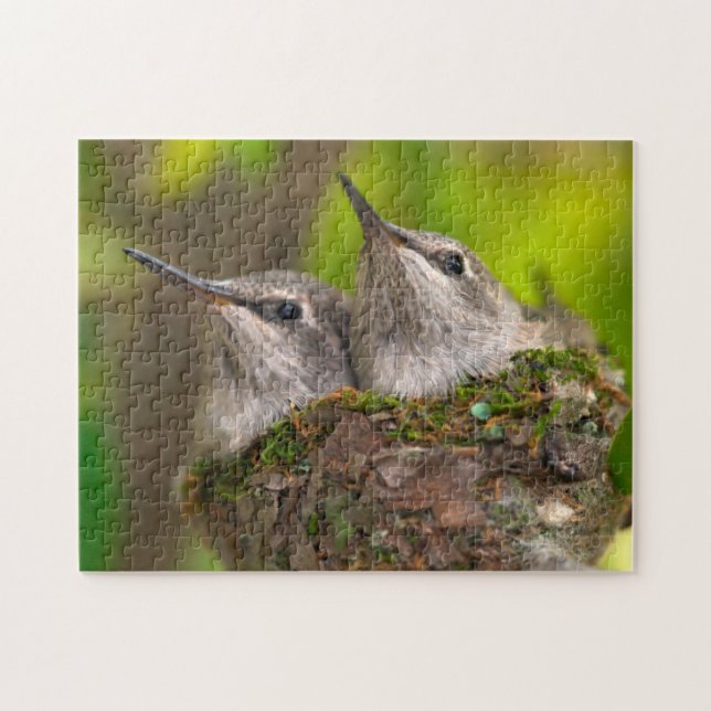 Hummingvögel (Horizontal)