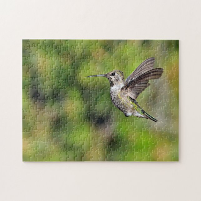 Hummingvogel (Horizontal)