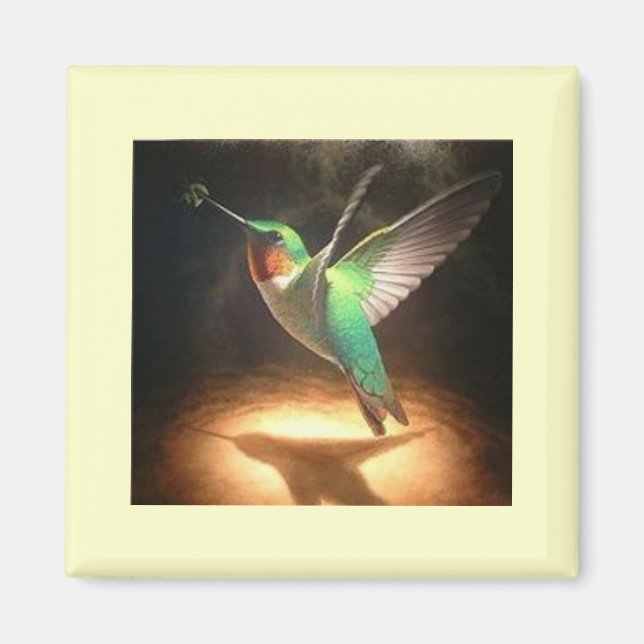 Hummingvogel3 Magnet (Vorne)