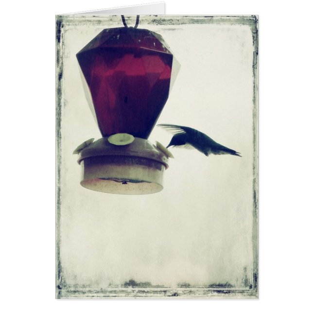 Hummingvogel 2 (Vorne)