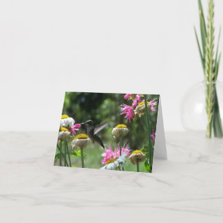 Hummingvogel 4 karte