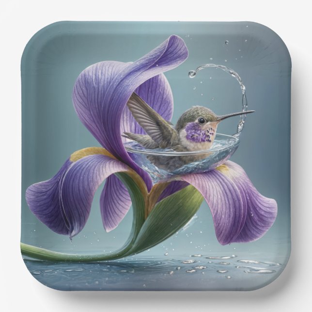 Hummingvogel baden in einem Iris-Blossom Pappteller (Vorderseite)