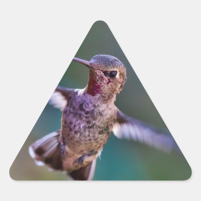 Hummingvogel Dreieckiger Aufkleber (Vorderseite)