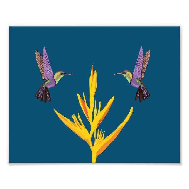 Hummingvögel Fotodruck (Vorne)