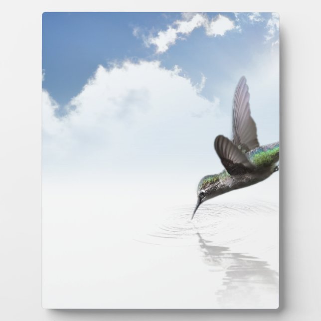 Hummingvogel Fotoplatte (Vorderseite)