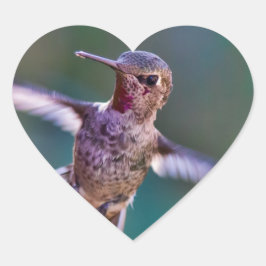 Hummingvogel Herz-Aufkleber