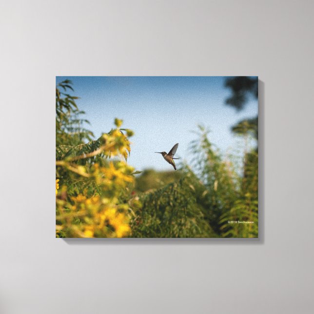 Hummingvogel im Flug Leinwanddruck (Vorderseite)