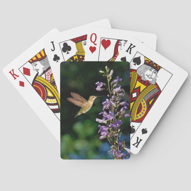 Hummingvogel im Flug mit Blume, die Karten spielen Spielkarten (Rückseite)