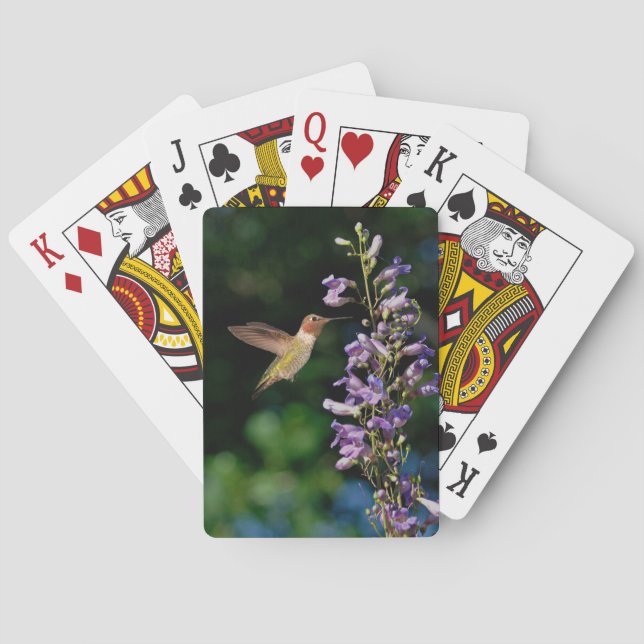 Hummingvogel im Flug mit Blume, die Karten spielen Spielkarten (Rückseite)