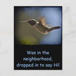 Hummingvogel im Flug Postkarte