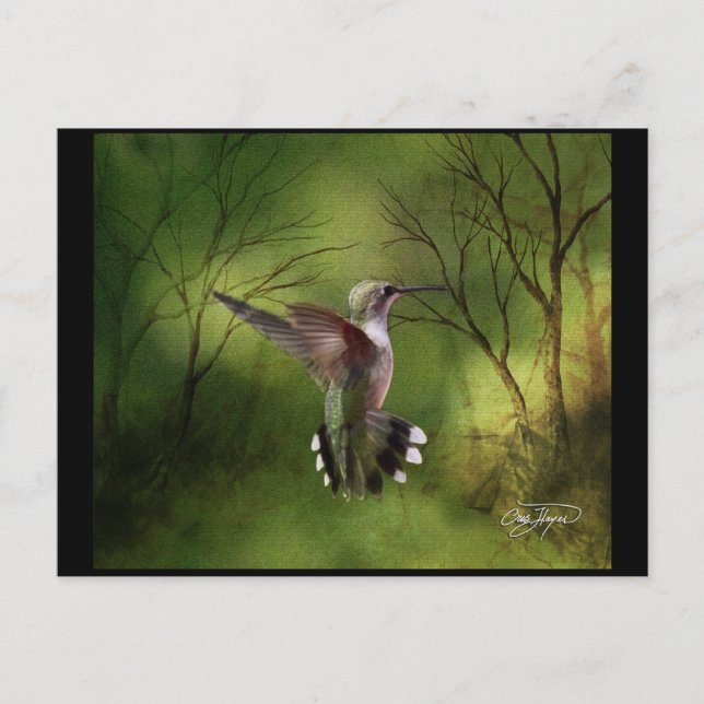 Hummingvogel im Flug Postkarte (Vorderseite)