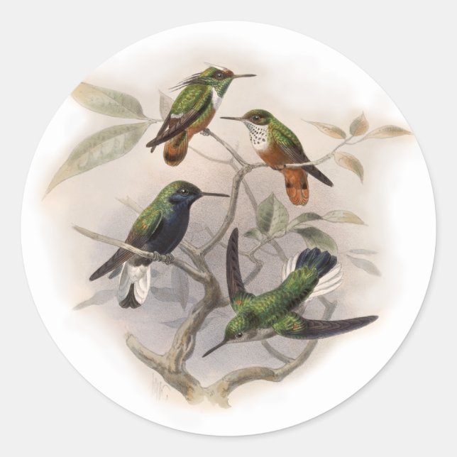 Hummingvögel im Flug Runder Aufkleber (Vorderseite)