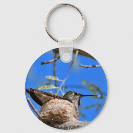 Hummingvogel im Nest-Schlüsselanhänger Schlüsselanhänger