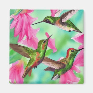 Hummingvögel in Blume Wasserfarbenfreude Magnet