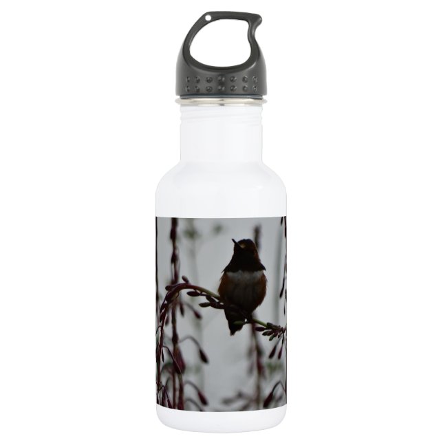 Hummingvogel in der Erholung Trinkflasche (Vorderseite)