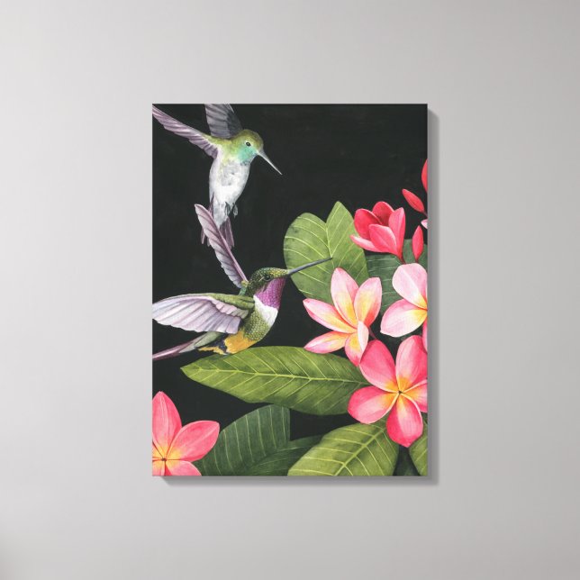 Hummingvögel in der Plumeria Leinwanddruck (Vorderseite)